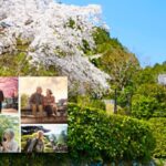 伝統とデジタルが融合!『メモリアル・タイムカプセル』が京都で登場