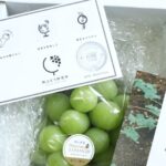 品種DNA×ブロックチェーンで変革！果樹業界の収益還元と透明化の挑戦