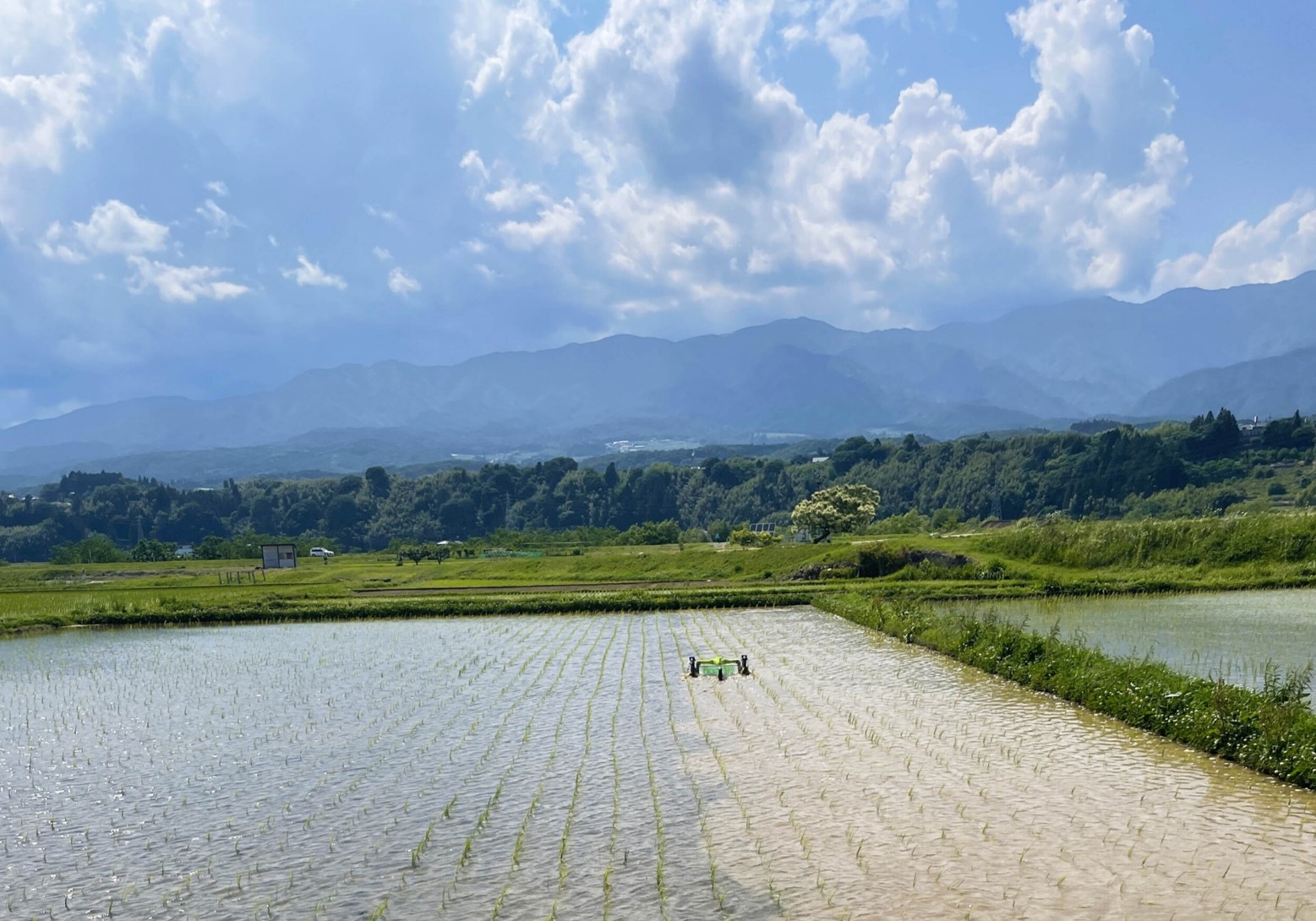 雑草対策はロボットに任せる時代へ ミズニゴール2026年モデルが描く農業の未来